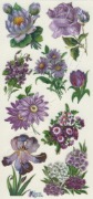 VS-Purple Flowers C62