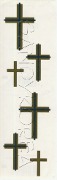MG-Cross (S)