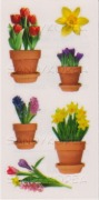 Pix-Spring Potted Flowers
