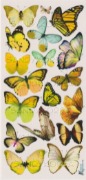 VS-Lemon Butterflies C80