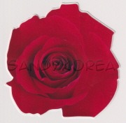 Pix-Vinyl Laptop Sticker Red Rose